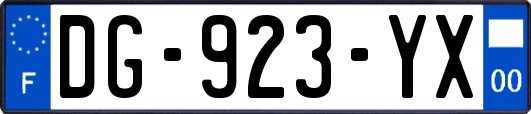 DG-923-YX