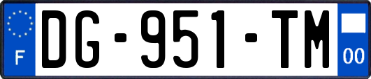 DG-951-TM