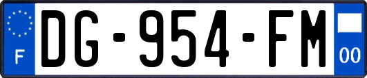 DG-954-FM