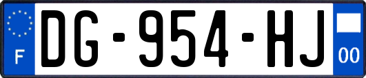 DG-954-HJ