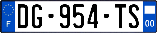 DG-954-TS