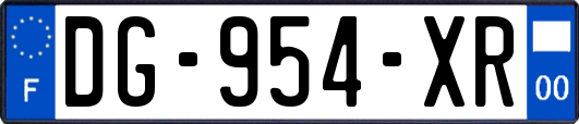 DG-954-XR