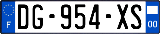 DG-954-XS