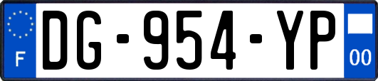 DG-954-YP