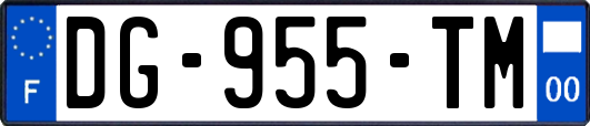 DG-955-TM