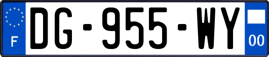 DG-955-WY