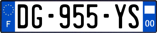 DG-955-YS