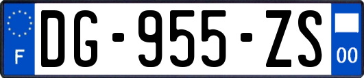 DG-955-ZS