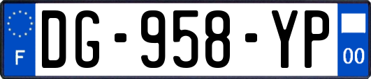 DG-958-YP