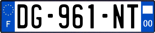 DG-961-NT