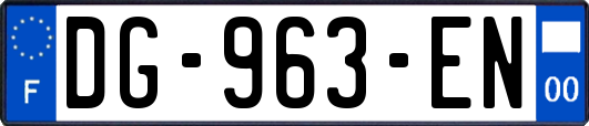 DG-963-EN