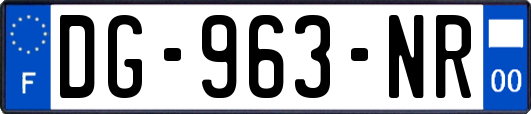 DG-963-NR