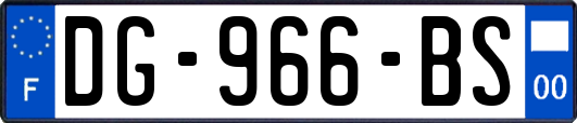 DG-966-BS