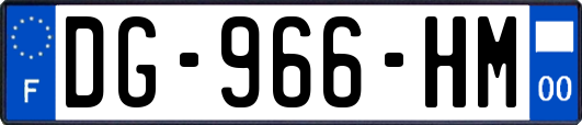 DG-966-HM