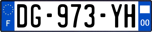 DG-973-YH
