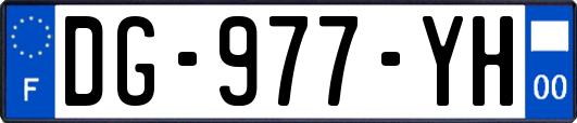 DG-977-YH
