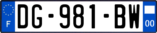 DG-981-BW