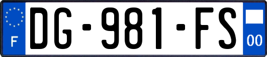 DG-981-FS