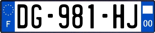 DG-981-HJ