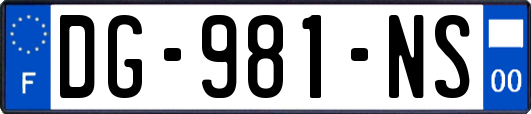 DG-981-NS