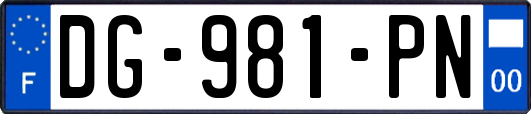 DG-981-PN