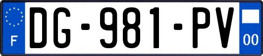 DG-981-PV