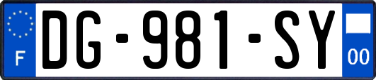 DG-981-SY