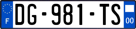 DG-981-TS