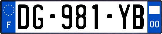 DG-981-YB