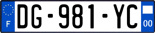 DG-981-YC
