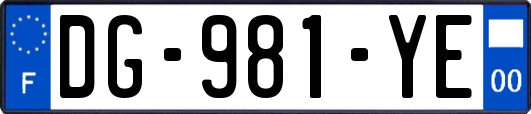 DG-981-YE