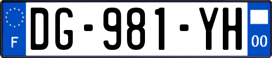 DG-981-YH