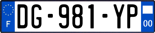 DG-981-YP