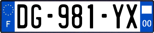 DG-981-YX