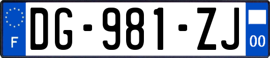 DG-981-ZJ