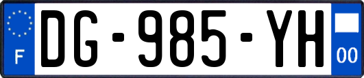 DG-985-YH