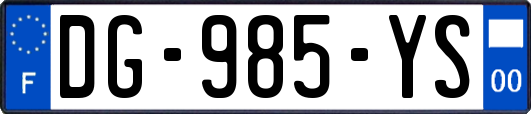 DG-985-YS