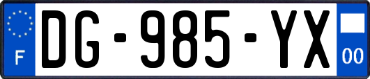 DG-985-YX