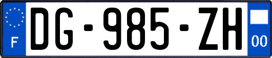 DG-985-ZH