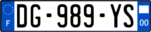 DG-989-YS