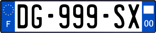 DG-999-SX