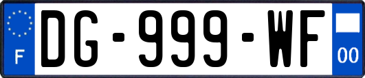 DG-999-WF