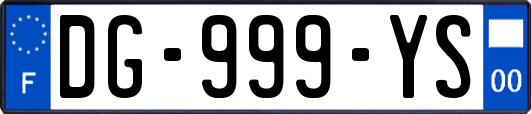 DG-999-YS