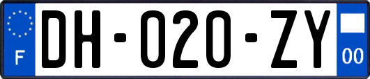 DH-020-ZY