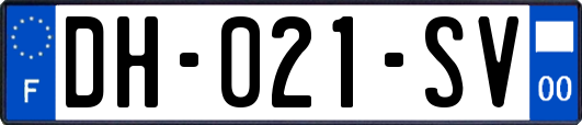 DH-021-SV