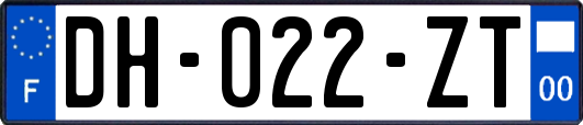 DH-022-ZT