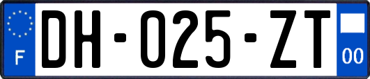 DH-025-ZT