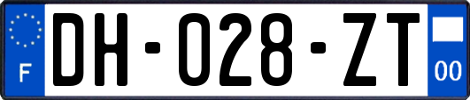 DH-028-ZT