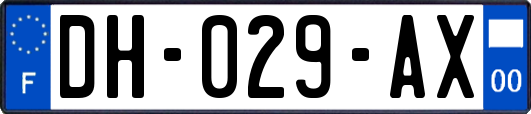 DH-029-AX