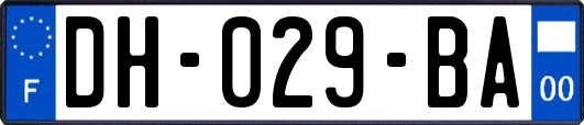 DH-029-BA